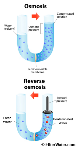 How Reverse Osmosis Process Works How Reverse Osmosis Process Works
